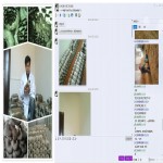 贵州学员聊天记录