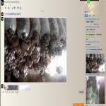 云南学员聊天记录