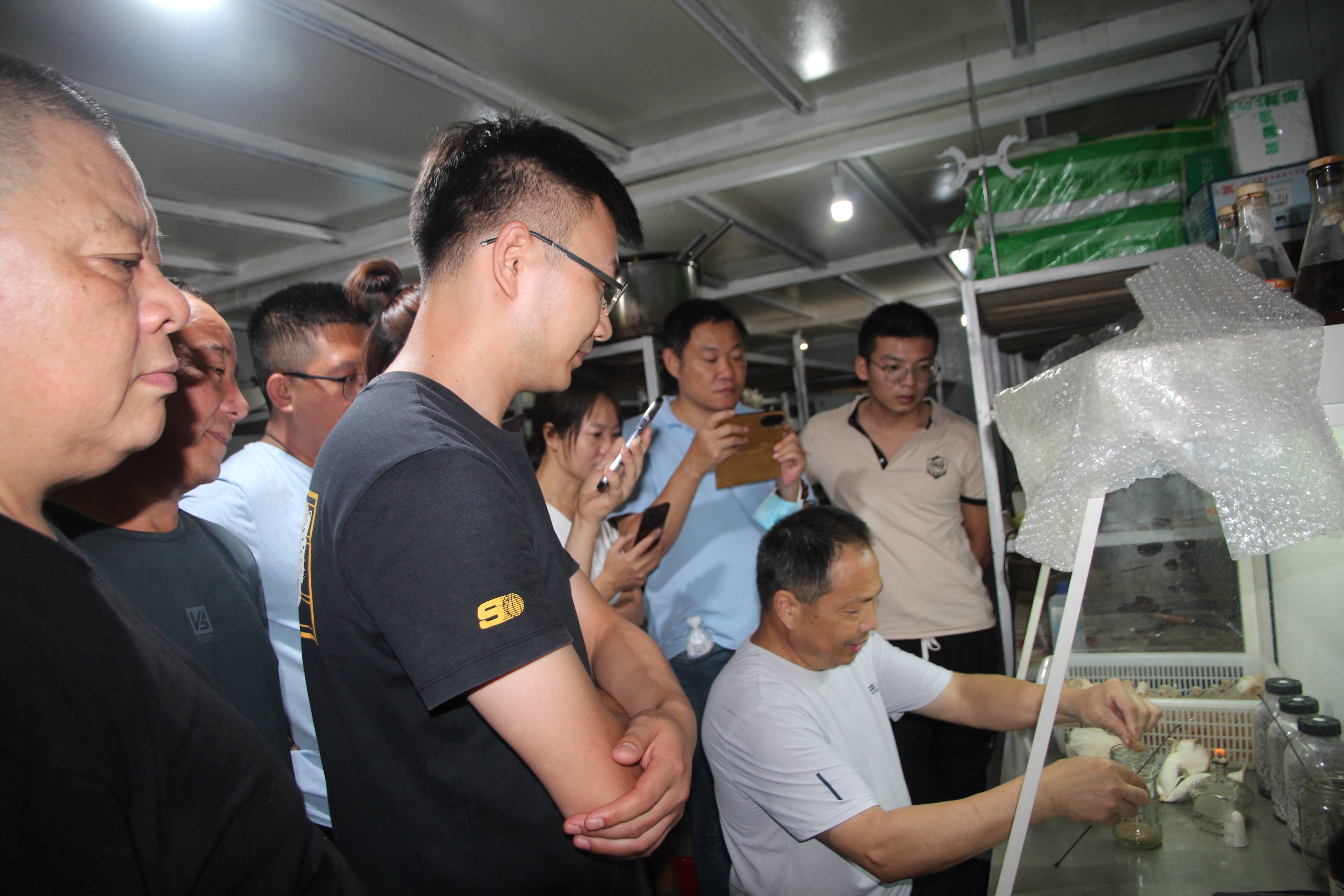 合肥立新食用菌培训基地学员实习食用菌母种转管技术
