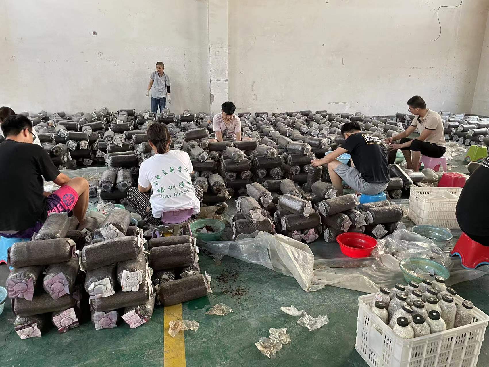 合肥立新食用菌种植技术培训基地学员现场实习食用菌栽培接种技术