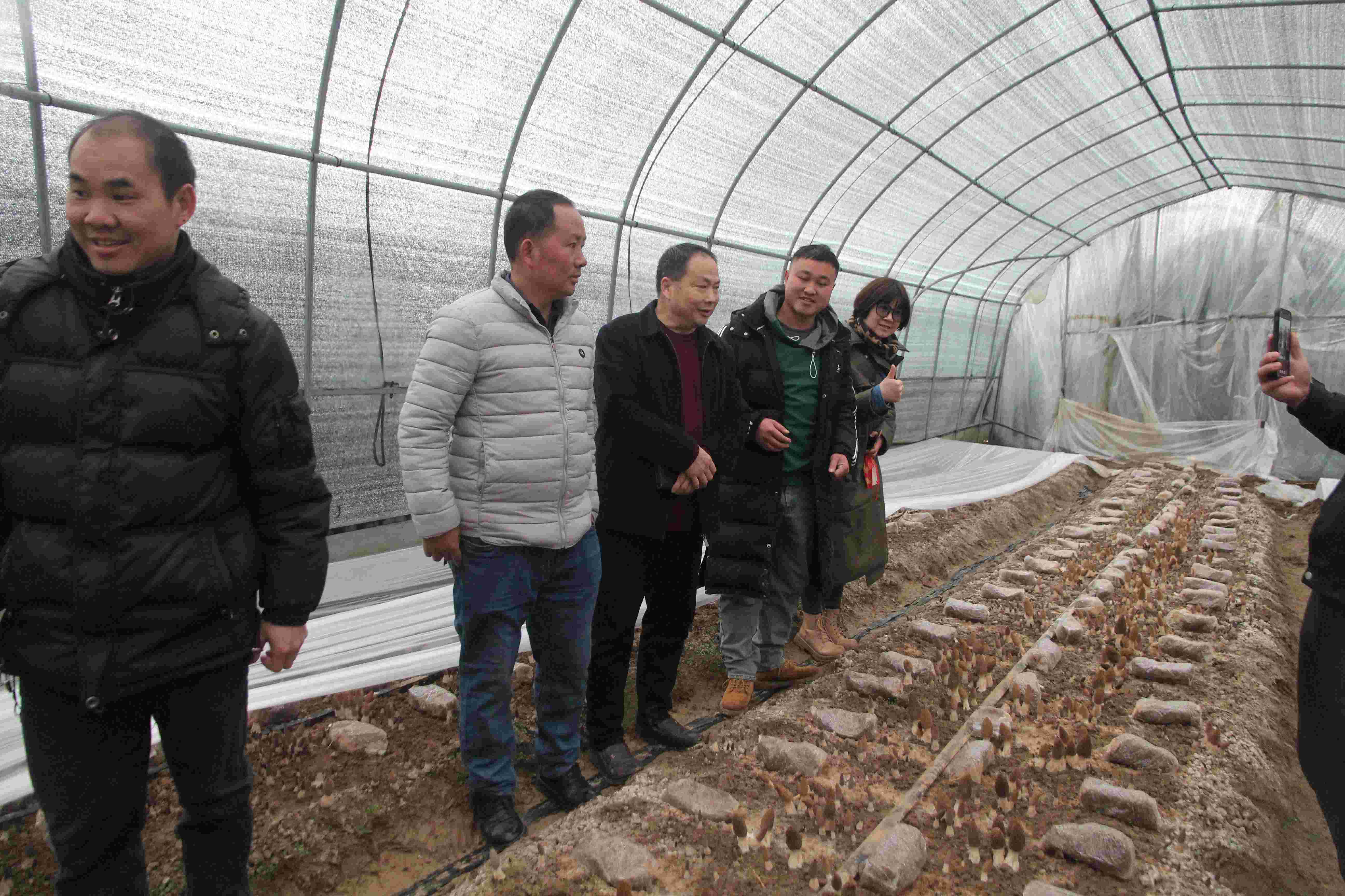 合肥立新学员在食用菌羊肚菌生产种植培训基地