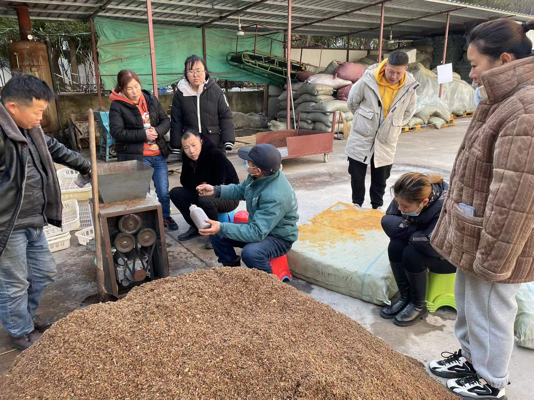 合肥立新食用菌栽培技术培训基地学员听老师讲香菇、木耳、灵芝、桑黄等