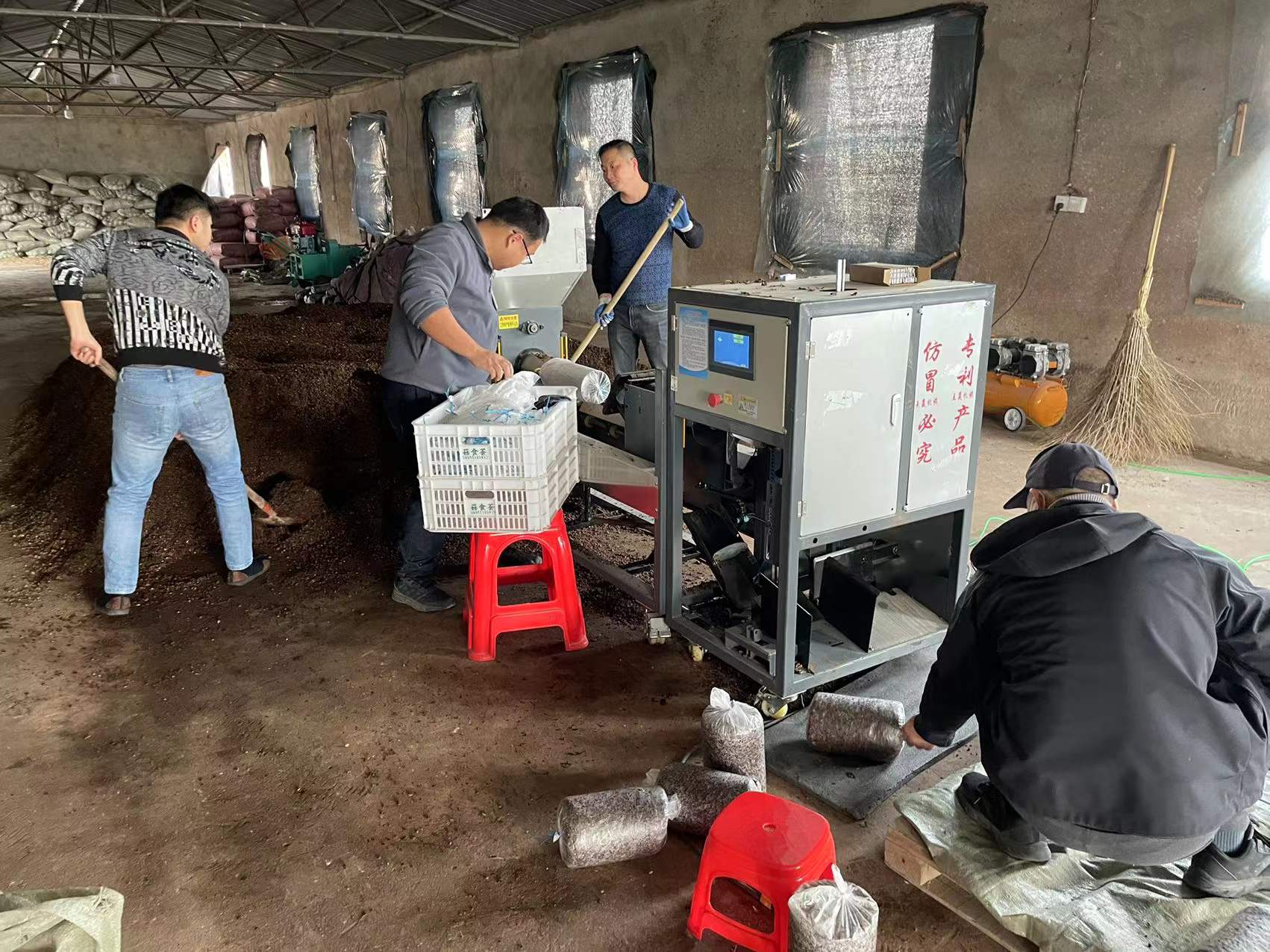 合肥立新食用菌培训学校学员实习平菇、秀珍菇、榆黄菇、红平菇、鲍鱼菇